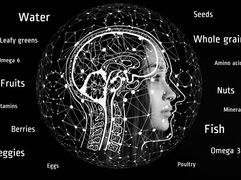 How can food affect our&nbsp;brain?