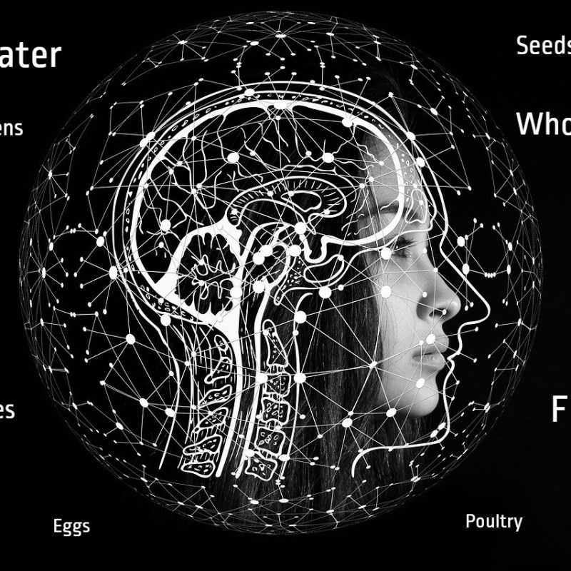 How can food affect our&nbsp;brain?
